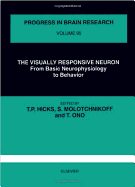 Visually Responsive Neuron