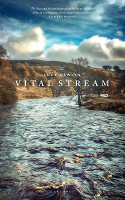Vital Stream - Newlyn, Lucy, and Holmes, Richard (Foreword by)