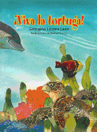 Viva La Tortuga!