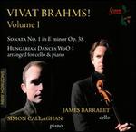 Vivat Brahms, Vol. 1