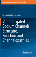 Voltage-gated Sodium Channels: Structure, Function and Channelopathies