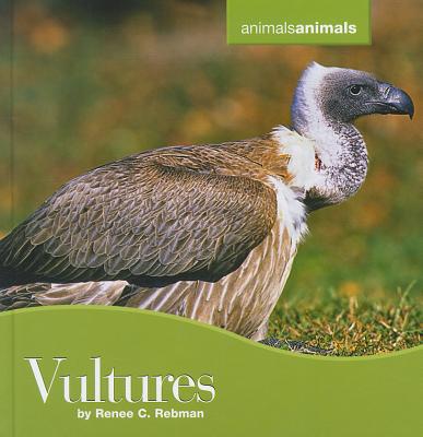 Vultures - Barrett, Tracy