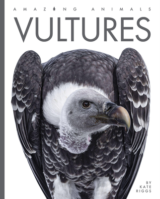 Vultures - Riggs, Kate