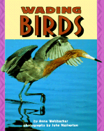Wading Birds
