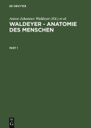 Waldeyer - Anatomie Des Menschen