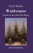 Waldwinter: Roman Aus Den Schlesischen Bergen