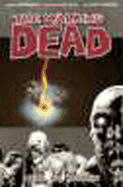 Walking Dead Volume 9: Here We Remain