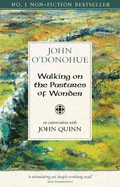 Walking on the Pastures of Wonder: In conversation with john Quinn
