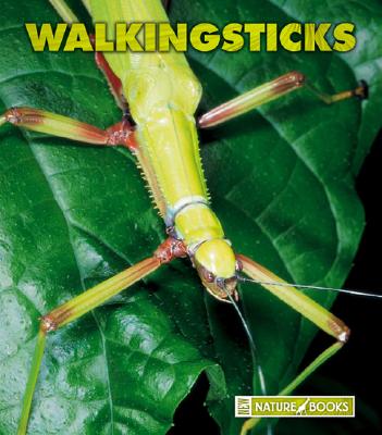 Walkingsticks - Merrick, Patrick