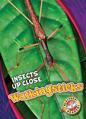 Walkingsticks - Perish, Patrick