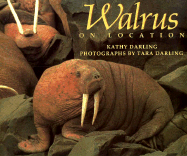 Walrus