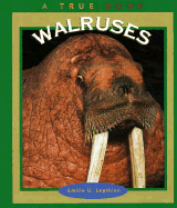 Walruses