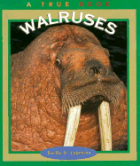 Walruses
