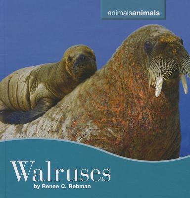 Walruses - Barrett, Tracy
