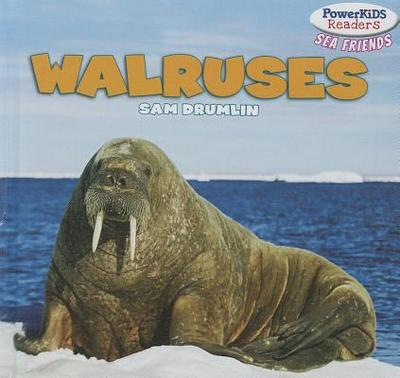 Walruses - Drumlin, Sam