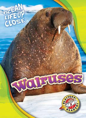 Walruses - Schuetz, Kari