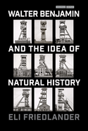 Walter Benjamin and the Idea of Natural History