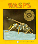 Wasps