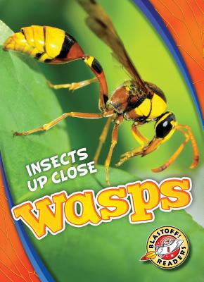 Wasps - Perish, Patrick