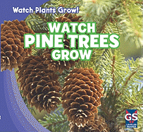 Watch Pine Trees Grow