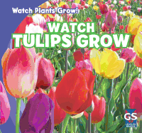 Watch Tulips Grow