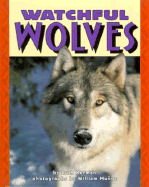 Watchful Wolves
