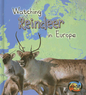 Watching Reindeer in Europe