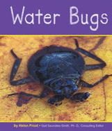 Water Bugs