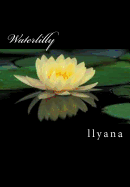 Waterlilly