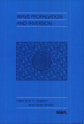 Wave Propagation and Inversion - Fitzgibbon, W E