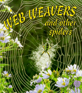 Web Weavers and Other Spiders