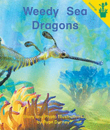 Weedy Sea Dragons