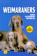 Weimaraners
