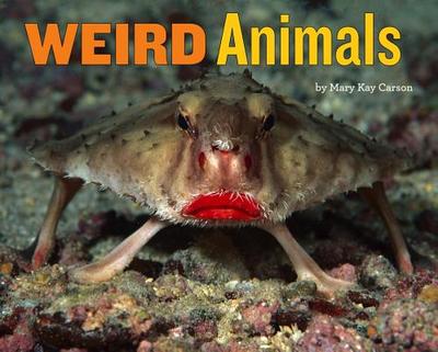 Weird Animals - Carson, Mary Kay