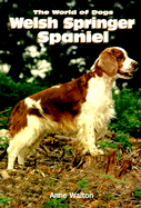 Welsh Springer Spaniel