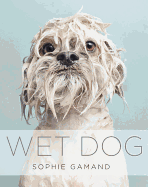 Wet Dog