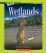 Wetlands