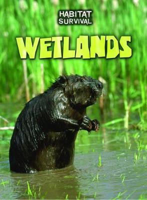 Wetlands - Silverman, Buffy