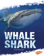 Whale Shark