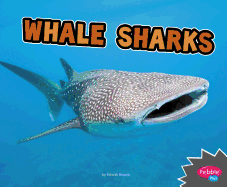 Whale Sharks