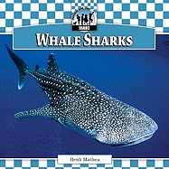 Whale Sharks