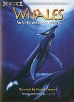 Whales: An Unforgettable Journey