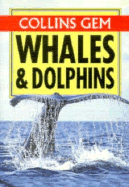 Whales and Dolphins