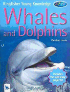 Whales and Dolphins