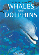 Whales and Dolphins