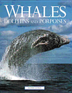 Whales, Dolphins and Porpoises