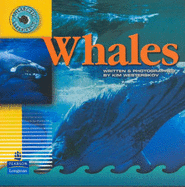 Whales