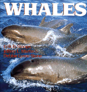 Whales