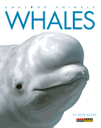 Whales