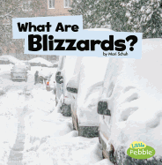 What Are Blizzards?